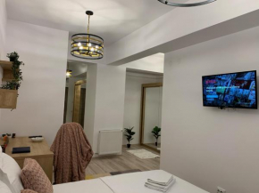Luxury studio